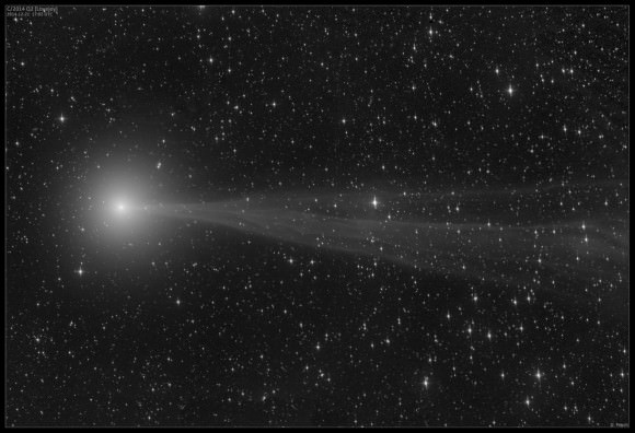 A black and white view of Comet Lovejoy, taken on Dec. 21, 2014, highlighting the comet's dramatic tail. Credit and copyright: Damian Peach. 