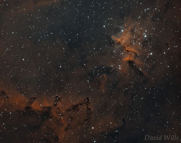 The center of the Heart Nebula captured by David Wills on Flickr.