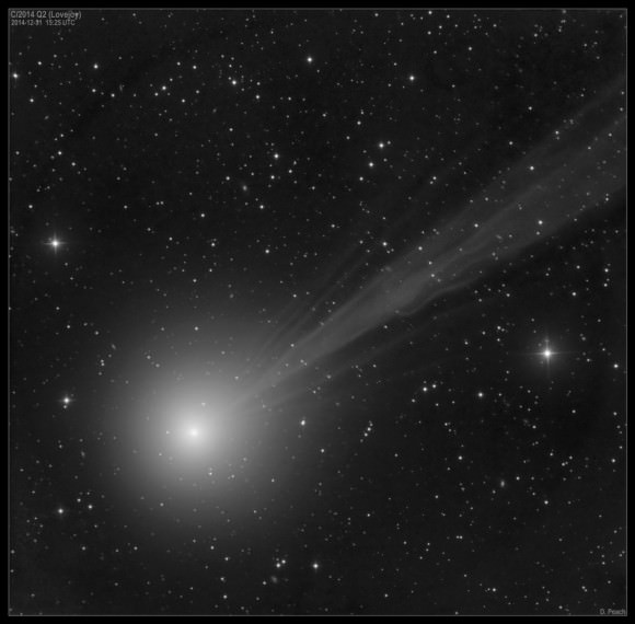 A monochrome image of Comet Lovejoy (2014 Q2) taken on December 31, 2014. Credit and copyright: Damian Peach. 