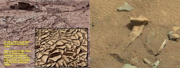 At left, MSL's Curiosity landed not far from a sight hard to leave - Yellow Knife including sight "John Klein". Inset: this authors speculative thought - mud chips? At right, is Mars enthusiasts' Bone on Mars. (Photo Credits: NASA/JPL, Wikimedia)