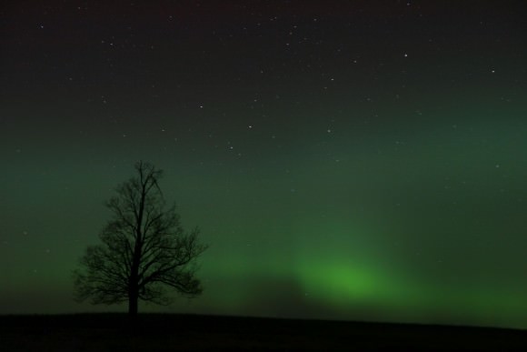 Aurora on St. Patrick's Day night, seen west of Keene, Ontario, Canada at about 10:00 p.m. EDST. Credit and copyright: Rick Stankiewicz 