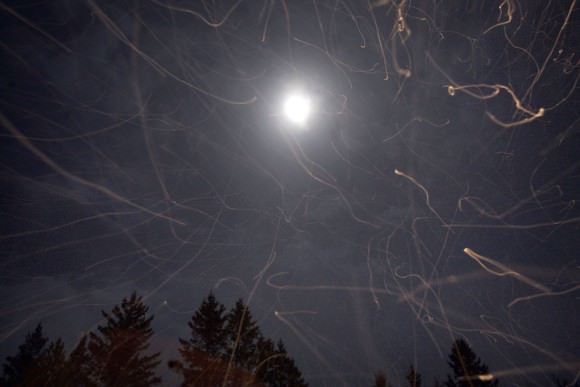 Snow flies.  During a time exposure taken on a snowy but partly cloudy night, snowflakes, illuminated by a yard light, streak about  beneath a Full Moon earlier this winter. Credit: Bob King