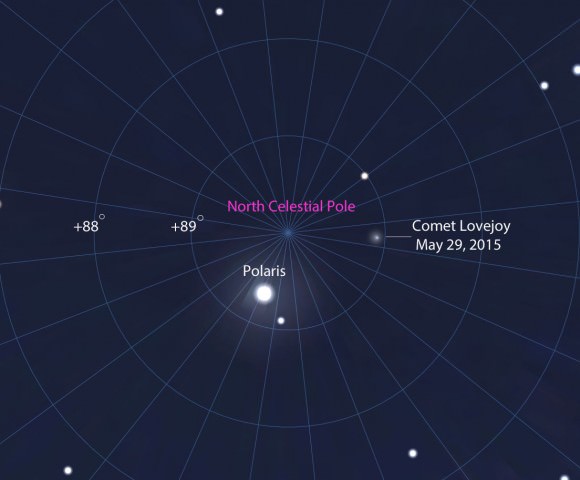 Comet Lovejoy will be closest to the imaginary point in the sky called the north celestial pole on May 29. Polaris lies 0.75° from the pole and describes a small circle 1.5° in diameter around it each day. Source: Stellarium