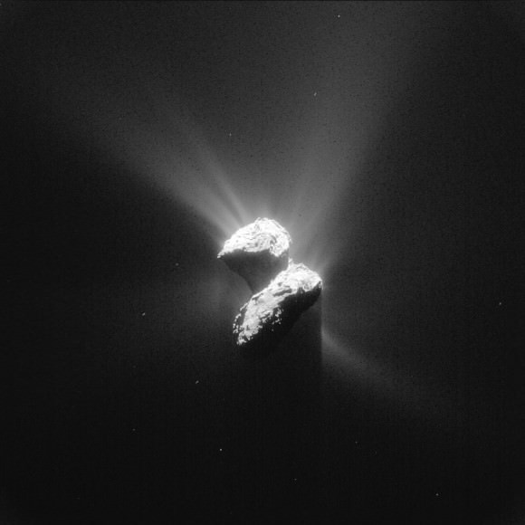 Comet 67P/Churyumov-Gerasimenko photographed from about 125 miles away on June 5 looks simply magnificent. Only two months from perihelion, the comet shows plenty of jets. One wonders what the chances are of one erupting underneath Philae and sending it back into orbit again. Credit: ESA/Rosetta/NAVCAM – CC BY-SA IGO 3.0