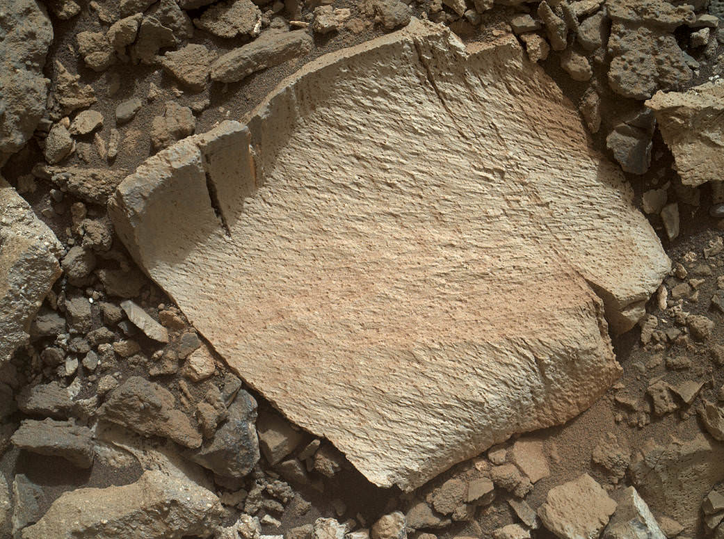 A rock fragment dubbed "Lamoose" is shown in this picture taken by the Mars Hand Lens Imager (MAHLI) on NASA's Curiosity rover. Like other nearby rocks in a portion of the "Marias Pass" area of Mt. Sharp, Mars, it has unusually high concentrations of silica. The high silica was first detected in the area by the Chemistry & Camera (ChemCam) laser spectrometer. This rock was targeted for follow-up study by the MAHLI and the arm-mounted Alpha Particle X-ray Spectrometer (APXS).  Credits: NASA/JPL-Caltech/MSSS 