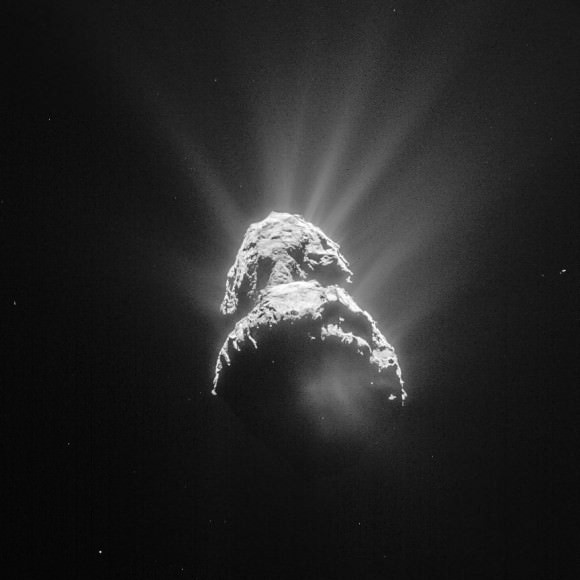 Geysers of dust and gas shooting off the comet's nucleus are called jets. The material they deliver outside the nucleus builds the comet's coma. Credit: ESA/Rostta/NAVCAM