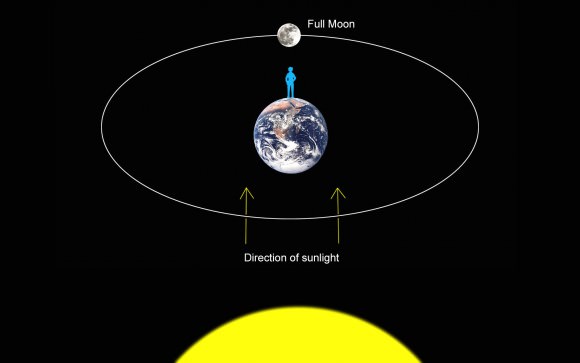 At full phase, the Moon lies directly opposite the Sun on the other side of Earth. Sunlight hits the Moon square on and fully illuminates the Earth-facing hemisphere. Credit: Bob King