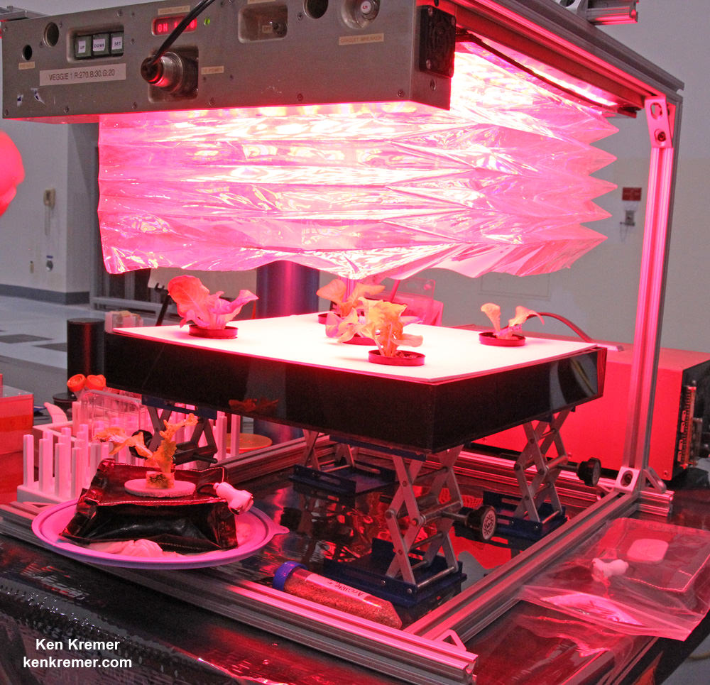 Veggie demonstration apparatus growing red romaine lettuce under LED lights in the Space Station Processing Facility at NASA’s Kennedy Space Center.  Credit: Ken Kremer/kenkremer.com 