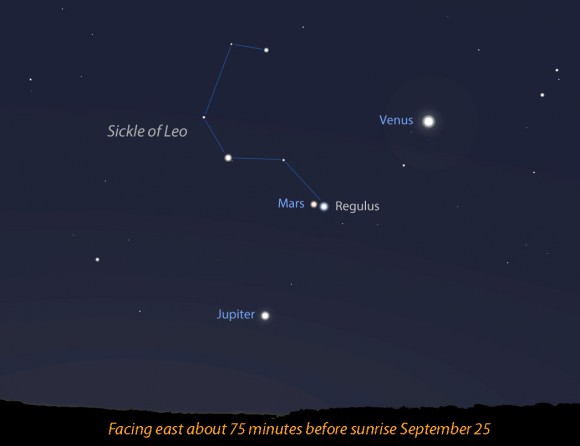 On Friday morning September 25, Mars and Regulus will be just 0.8 degrees apart in the eastern sky below brilliant Venus at dawn. They'll be nearly as close Thursday morning. Source: Stellarium