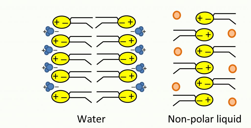 membranes in polar and non-polar solvents