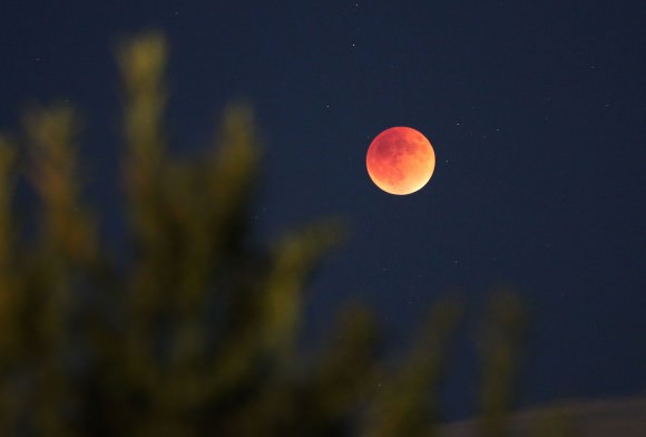"Super Blood Moon". Credit: Alok SInghal
