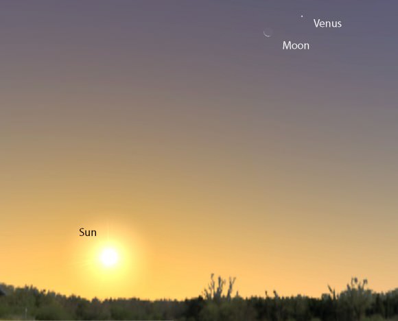 Venus is very bright, making it easy to see in the daytime if you know where to look. Try using the thin Moon soon after sunrise (7:30 a.m. local time shown here) to spot Venus. Aim and focus your binoculars on the Moon, then glide up and to the right to find Venus. If you succeed, lower the binoculars and see if you can spot it without optical aid. Source: Stellarium