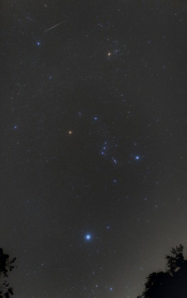A 2014 Taurid. Image credit and copyright: Brian who is called Brian