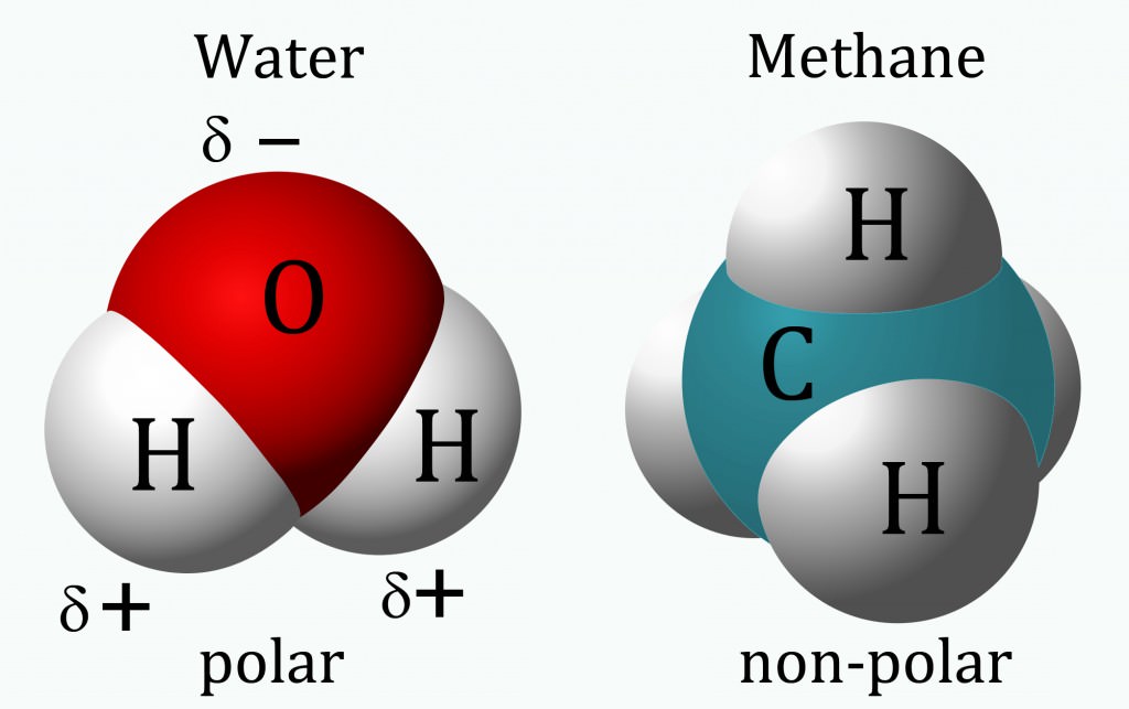 water and methane