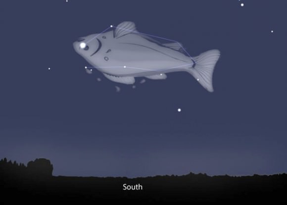 See the fish now? Greek mythology tells us that Piscis Austrinus is the "Great Fish", the parent of the two fish in the zodiacal constellation of Pisces the Fish. Source: Stellarium