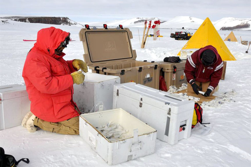 Antarctic researchers carefully pack meteorites into collection boxes. Looks cold! Credit: JSC Curation / NASA