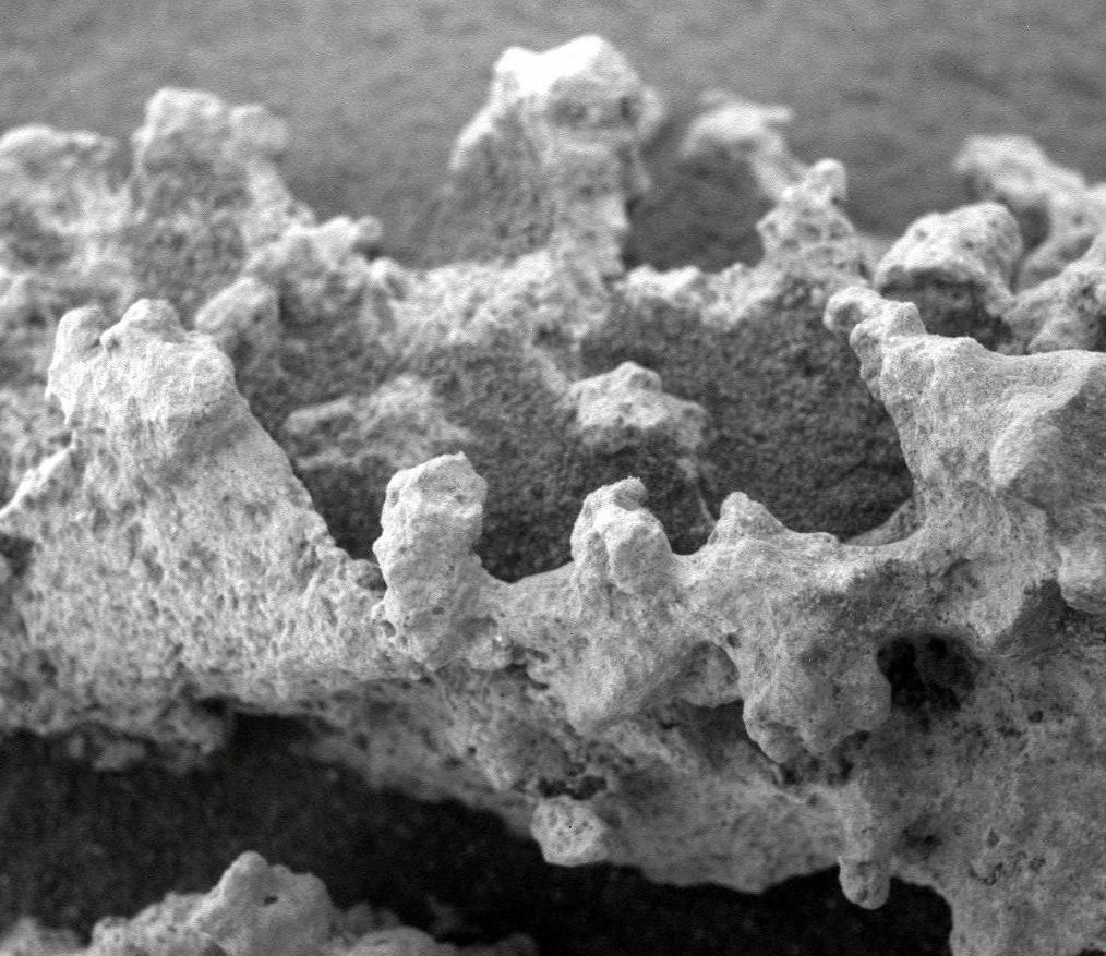 Close-up of the lobed silica rocks on Mars photographed by the Spirit Rover on Sol 1157. Credit: NASA/ JPL-Caltech