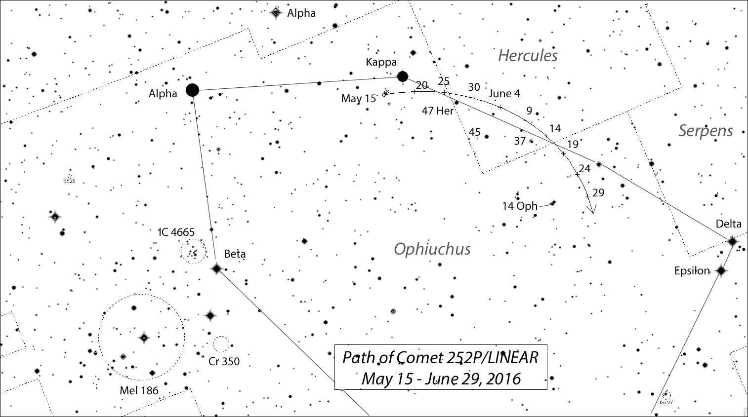 This map shows the path -- marked off every five nights -- of 252P/LINEAR along the border of Ophiuchus and Hercules through the end of June. Bright stars are labeled by Greek letter or number. Stars shown to magnitude 8.5. Diagram: Bob King, source: Chris Marriott's SkyMap