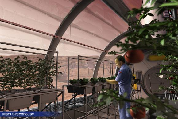 Artist's impression of a Martian greenhouse. Credit: NASA/Human Systems Engineering and Development Division