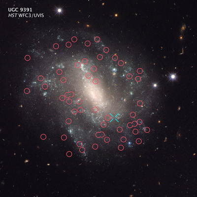 This Hubble Telescope image shows one of the galaxies used in the study. It contains two types of stars used to measure distances between galaxies. The red circles are pulsing Cepheid variable stars, and the blue X is a Type 1a supernova. Image: NASA, ESA, and A. Riess (STScI/JHU)