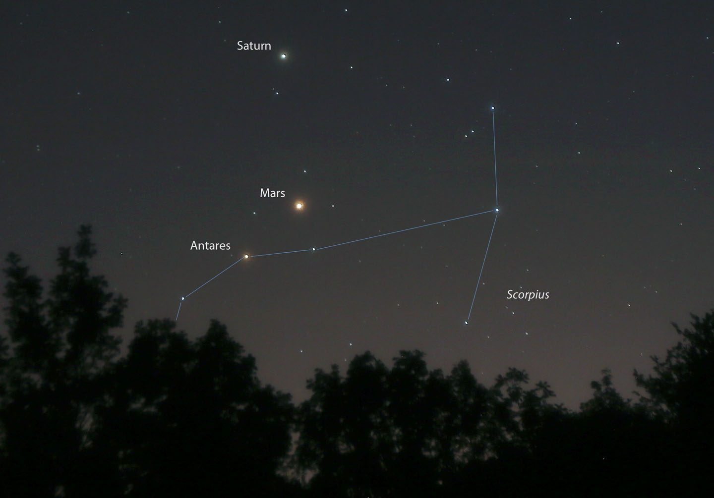Saturn, Mars and Antares are shown on Sunday night August 21 two nights before their lineup. Mars is still far and away the brightest object in the bunch at magnitude -0.5. Details: 35mm lens, f/2.8, ISO 400, 10 seconds. Credit: Bob King