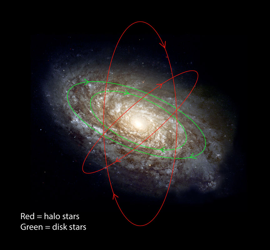 NGC 4414 is a spiral galaxy that resembles our own Milky Way. I've drawn in the orbits of several stars. Both disk and halo stars orbit about the center but halo stars describe long elliptical orbits. When they plunge through the disk, if they happen to be relatively nearby as is Arcturus, they'll appear to move relatively quickly across the sky. Credit: NASA/ESA