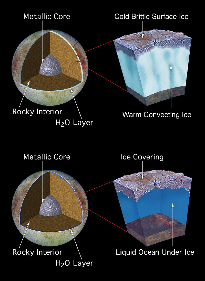 Two models of the interior of Europa. Image: NASA/JPL.