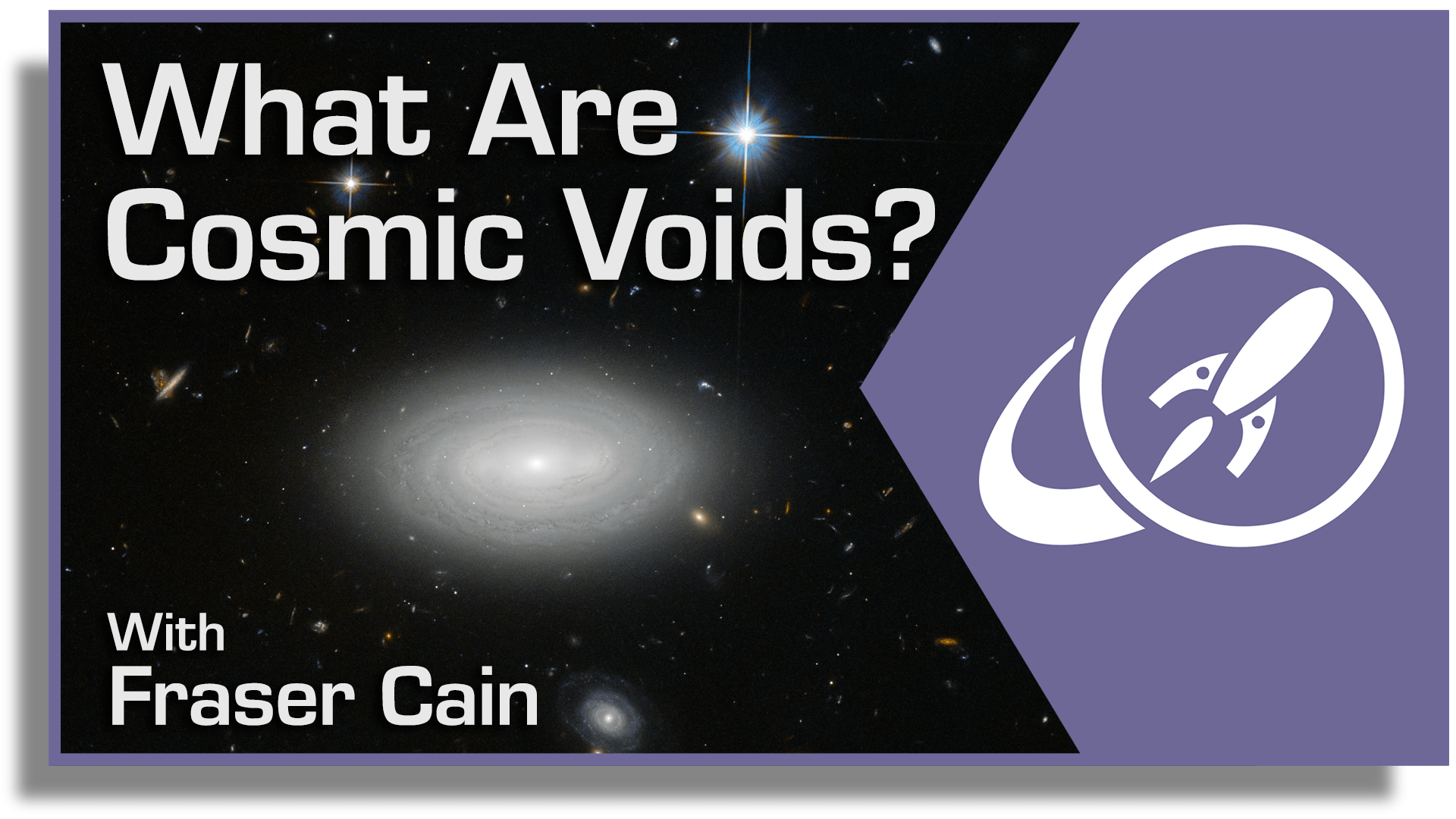 What Are Cosmic Voids?