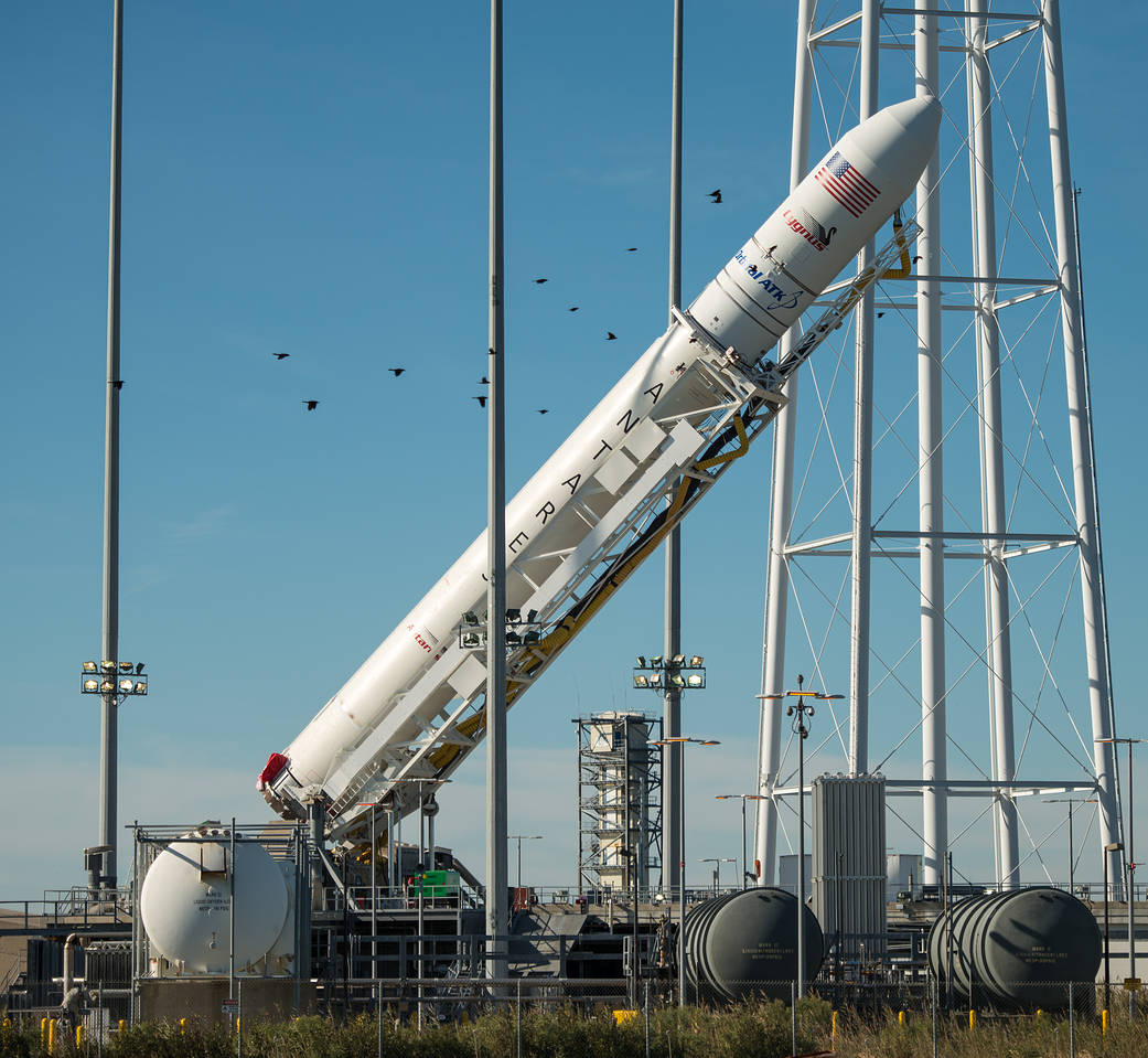 The Orbital ATK Antares rocket, with the Cygnus spacecraft onboard, is raised into the vertical position on launch Pad-0A, Friday, Oct. 14, 2016 at NASA's Wallops Flight Facility in Virginia.  Credit: NASA/Bill Ingalls
