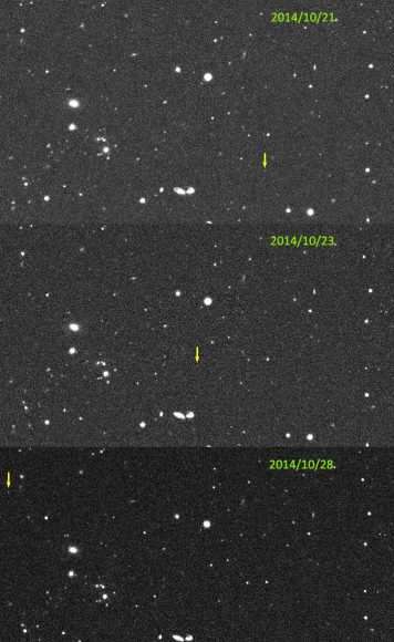 Images of 2014 UZ224, shown on three slides obtained by the DECam. Credit: David Gerdes/DES/University of Michigan
