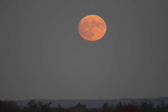 Moonrise near Keene, Ontario on November 13, 2016. Credit and copyright: Rick Stankiewicz.
