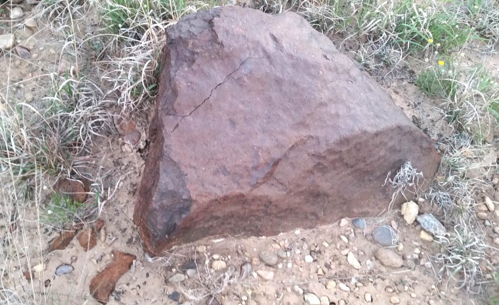 This photo was taken of the Clarendon (c) meteorite before it was removed from the ground. There appear to be several broken fragments at lower left. Credit: Frank and Deedee Hommel