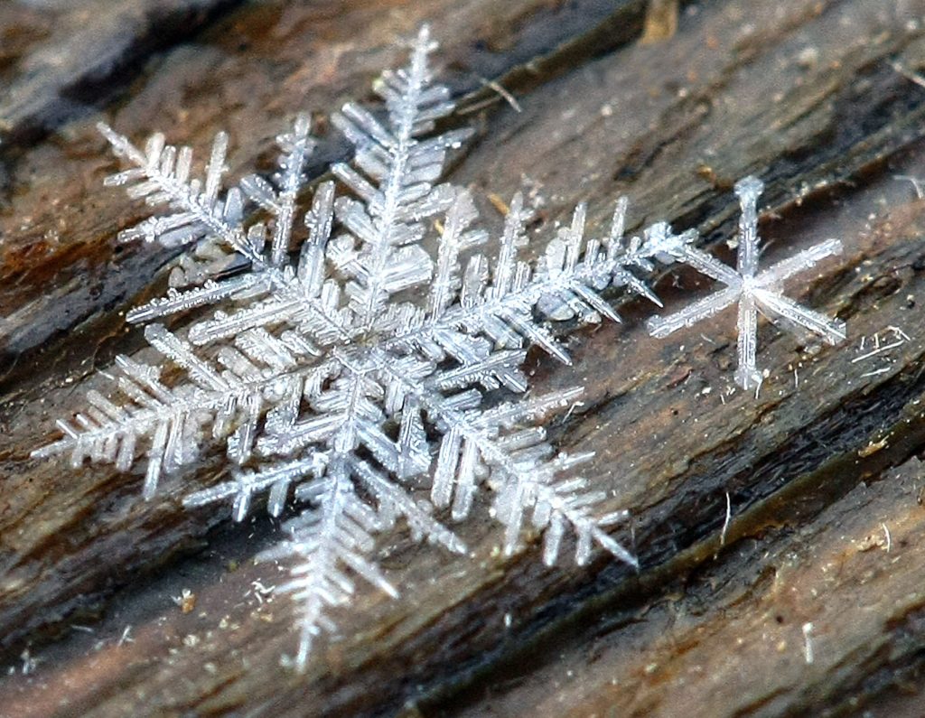 formation of complex symmetrical and fractal patterns in snowflakes exemplifies emergence in a physical system.