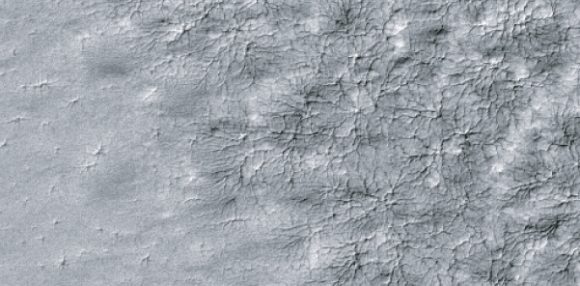 Spiders trace a delicate pattern on top of the residual polar cap, after the seasonal carbon-dioxide ice slab has disappeared. Next spring, these will likely mark the sites of vents when the CO2 icecap returns. This MOC image is about 2 miles wide. Credit: NASA/JPL/MSSS