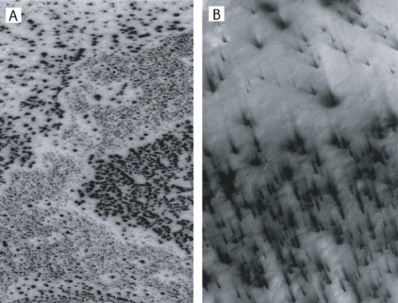 Dark spots (left) and fans scribble dusty hieroglyphics on top of the Martian south polar cap in two high-resolution MOC images taken in southern spring. Each image is about 2 miles wide. Credit: NASA/JPL/MSSS