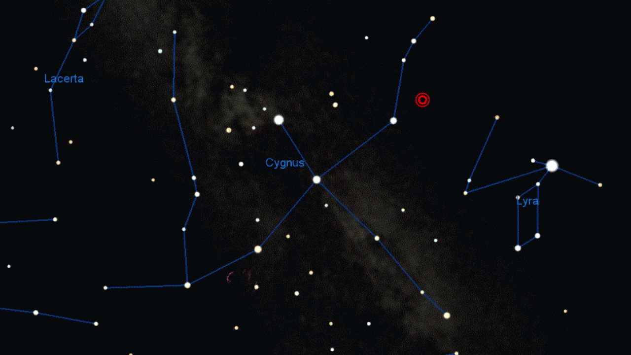 Cygnus Constellation: Stars, Myth, And Location (2023) Planet Guide ...