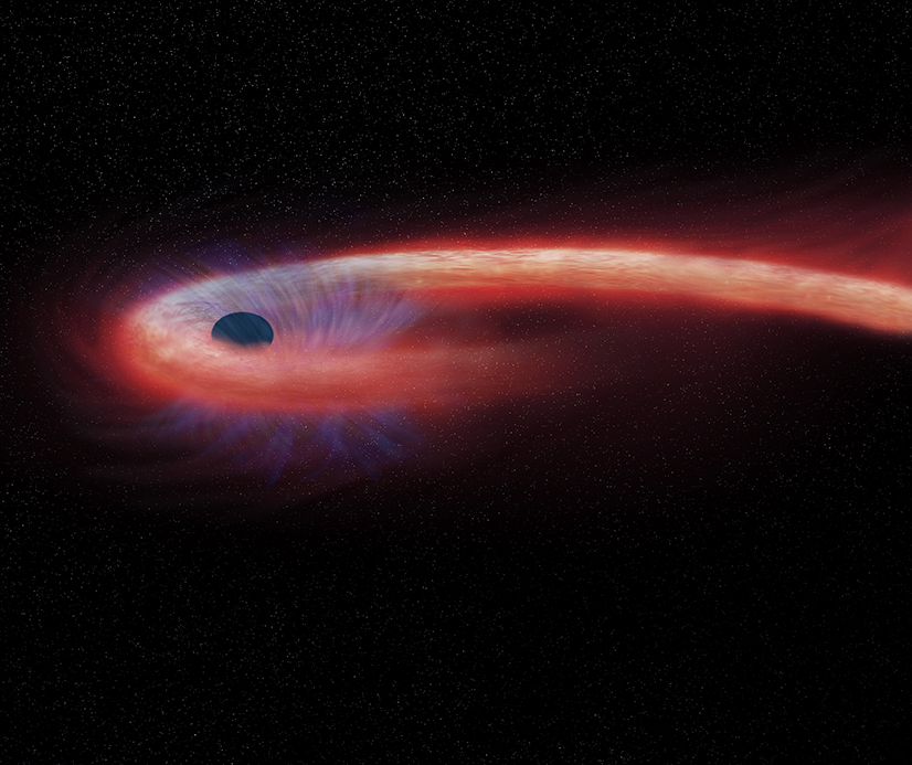This artist's illustration depicts what astronomers call a "tidal disruption event," or TDE, when an object such as a star wanders too close to a black hole and is destroyed by tidal forces generated from the black hole's intense gravitational forces. (Credit: NASA/CXC/M.Weiss.