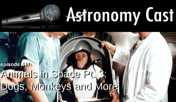 Astronomy Cast Ep. 447: Animals in Space Pt. 3: Dogs, Monkeys and More - Universe Today