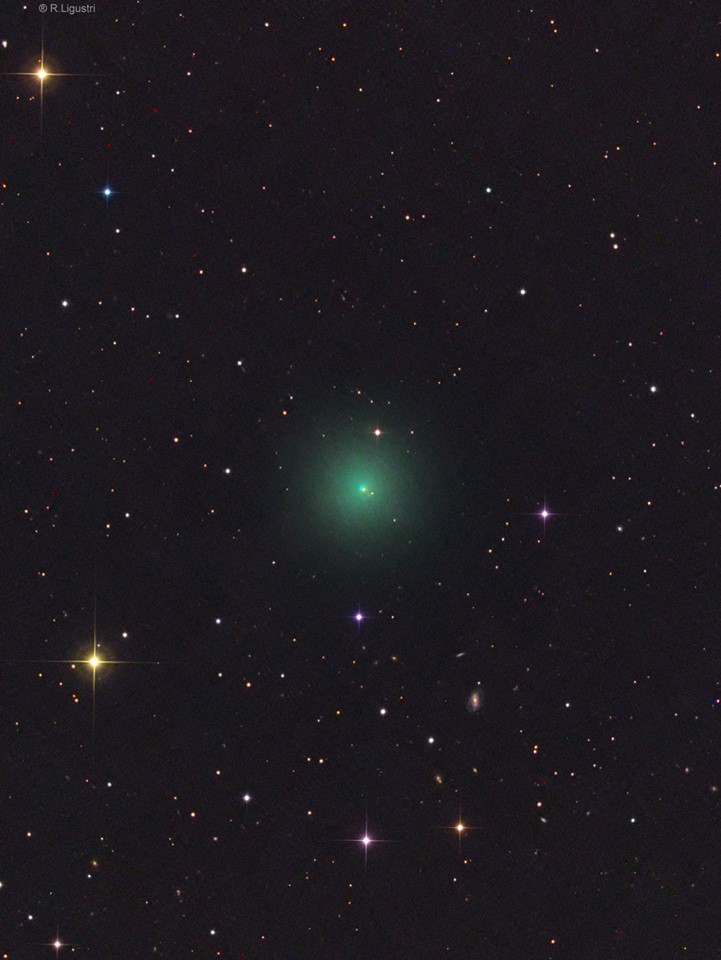 Comet ASAS-SN