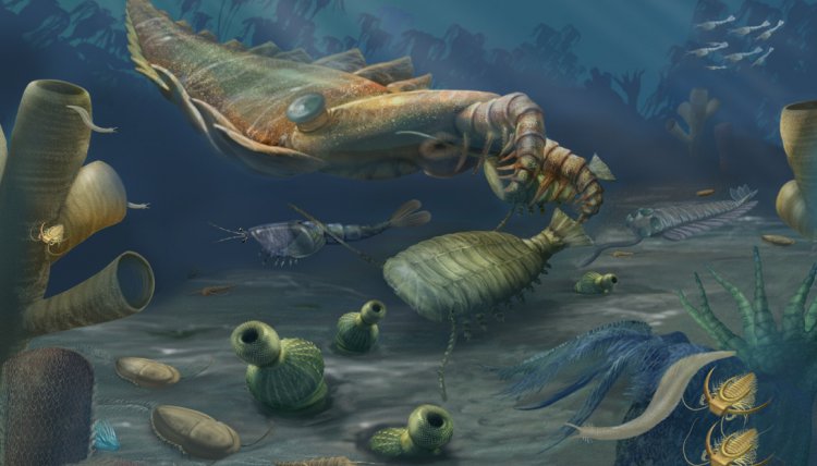 Artist's impression of life forms that existed during the Cambrian Era, a time of rapid change for terrestrial species. Credit: Smithsonian Natural Museum of History