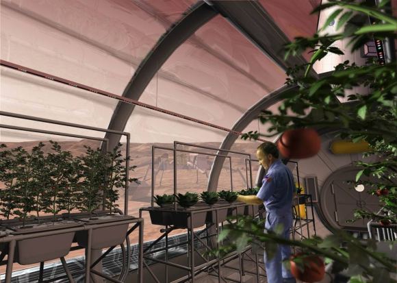 We've always assumed that astronauts working on Mars would feed themselves by growing Earthly crops in simulated Earth conditions. But that requires a lot of energy, space, and materials. It may not be necessary. An artist's illustration of a greenhouse on Mars. Image Credit: SAIC