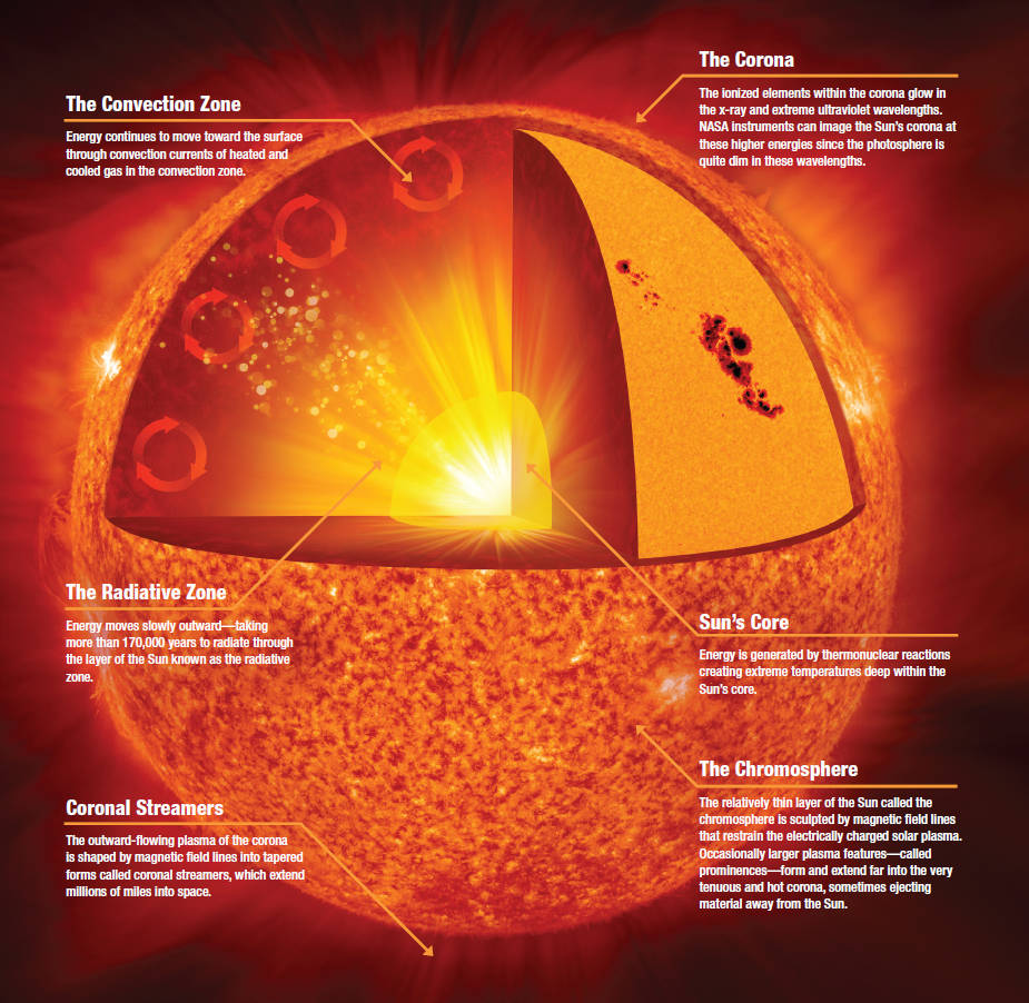 The anatomy of the Sun. Image Credit: NASA/Jenny Mottar