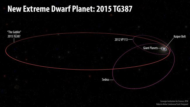 Dwarf planet 2015 TG387, or Goblin, has an orbit that takes it much further from the Sun than other Inner Oort Cloud Objects Sedna and 2012 VP113.  Image: Roberto Molar Candanosa and Scott Sheppard, courtesy of Carnegie Institution for Science. 