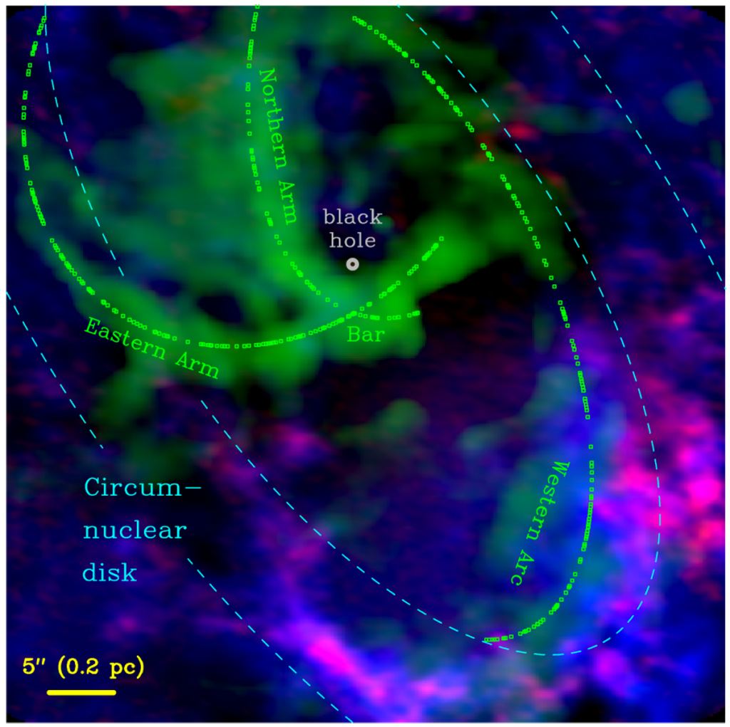 This ALMA image shows the central 2 parsecs of the Milky Way, with Sag. A* circled in the middle. Blue represents carbon monoxide and red represent hydrogen cyanide. The dotted blue and lines represent inner and outer circular orbits around the black hole. The dotted green lines represent elliptical orbits previously proposed to fit the motion of the ionized gas streamers. The motions of the CO and HCN cloudlets follow neither orbit. Image: ALMA, Goicoechea et. al. 2019. 