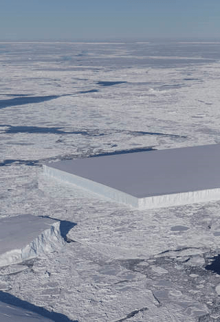 NASA scientist Jeremy Harbeck captured this image of rectangular icebergs as part of Operation IceBridge. Image: NASA/Jeremy Harbeck.