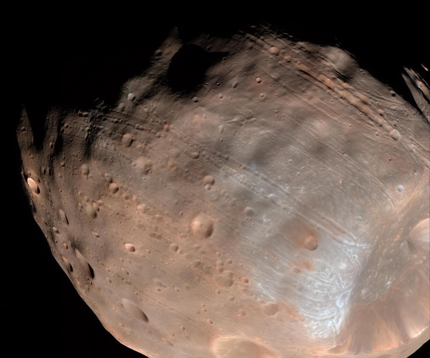 Much of Phobos' surface is covered with strange linear grooves. New research bolsters the idea that boulders blasted free from Stickney crater (the large depression on the right) carved those iconic grooves. Image Credit: NASA/JPL-Caltech/University of Arizona
