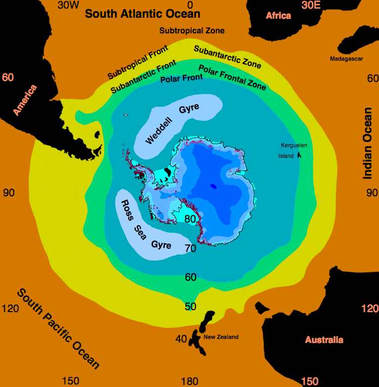 The Weddell Sea Gyre is one of two gyres that propel icebergs through the Antarctic Ocean. Image: By Hannes Grobe, Alfred Wegener Institute - Own work, CC BY-SA 2.5, https://commons.wikimedia.org/w/index.php?curid=2270345