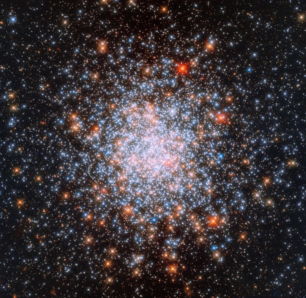 Hubble captured this image of star cluster NGC 1866 with its Wide Field Camera 3. It's an unusual cluster full of both old and young stars. The orange/red stars are older stars, and the blue stars are younger stars. Image: ESA/Hubble & NASA