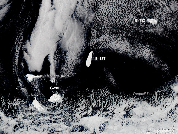 This image is another MODIS image, this time  from NASA's Aqua satellite. It shows B15-T when it was near Elephant Island, a small icy, rocky island a few hundred kilometers north-northeast from the tip of the Antarctic Peninsula. Image Credit: Lauren Dauphin and Jeff Schmaltz, using MODIS data from NASA EOSDIS/LANCE and GIBS/Worldview.