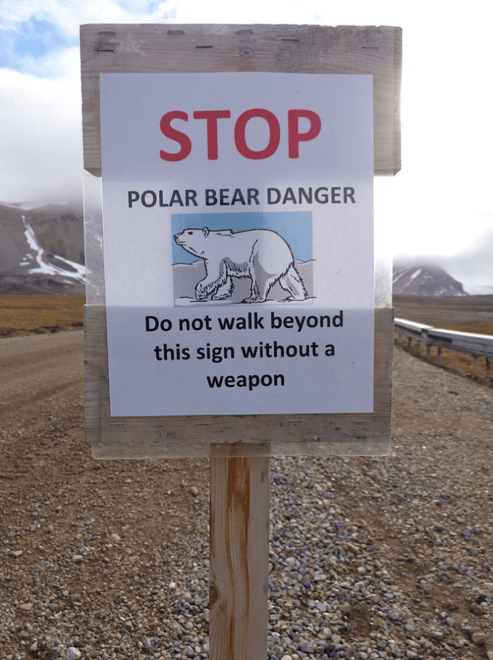 Science in the Arctic is not without risk. This sign is at the edge of Ny Alesund. Image Credit: Superchilum, CC-BY-3.0, via Wikimedia Commons